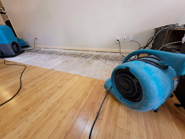 Professional Water Damage Repair technician working in Pierpont, OH