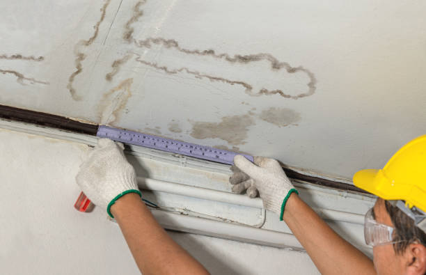 Affordable Water Damage Repair solutions in Pierpont, OH